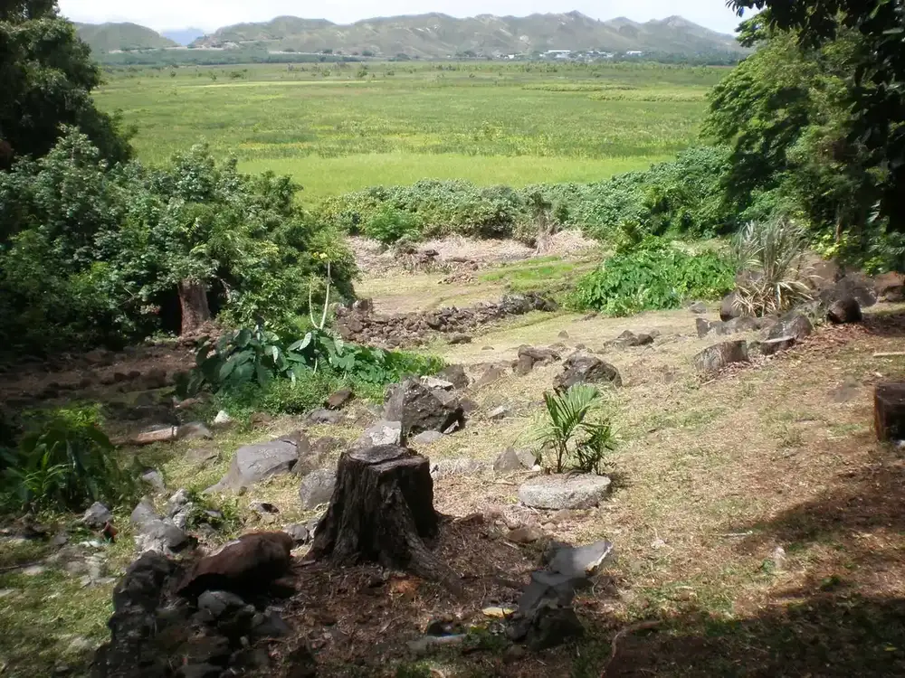 Kawai Nui Marsh in Kailua seen from Ulupo Heiau