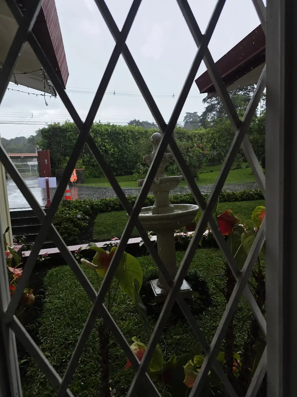 the view out through a white diamond-pattern window grille